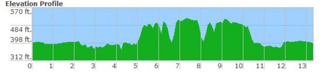 Bearathon Hills