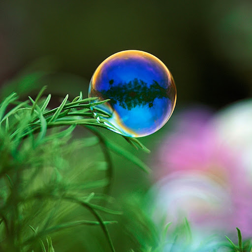 Hd-179917-ascw179917