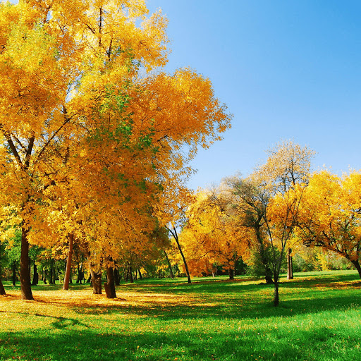 Hd-144395-ascw144395