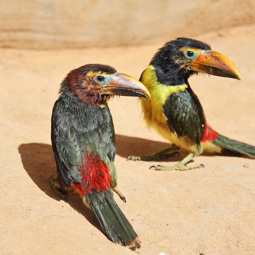 Hd-160605-ascw160605