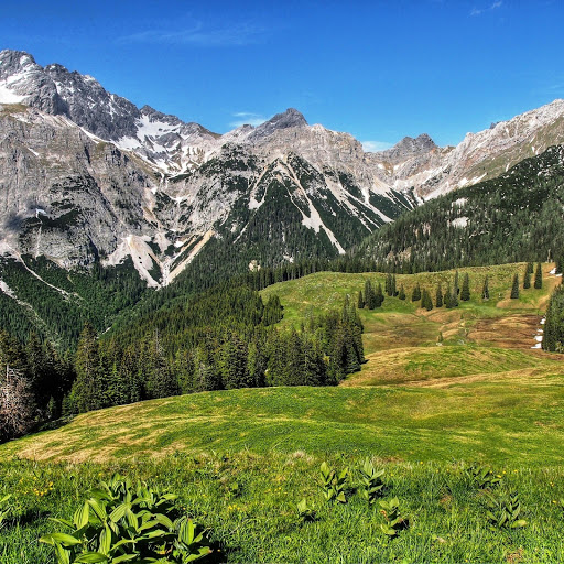 Hd-152203-ascw152203