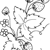 wpecolfetmer10.jpg