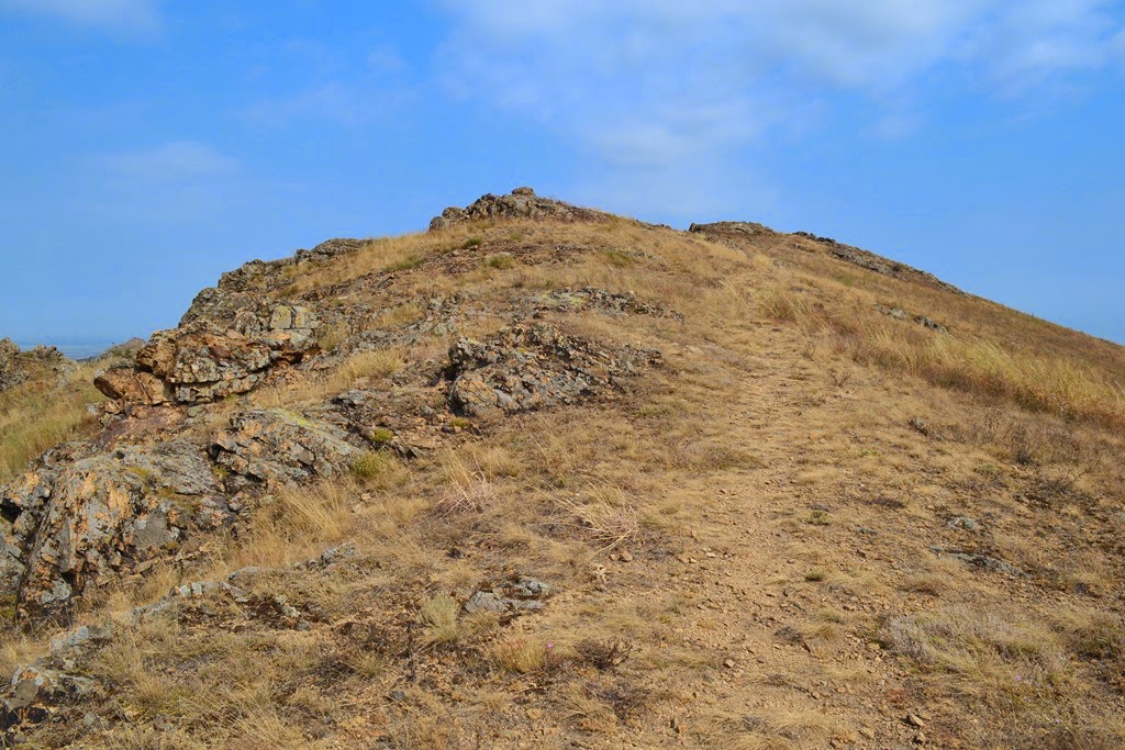 [DSC_66193.jpg]
