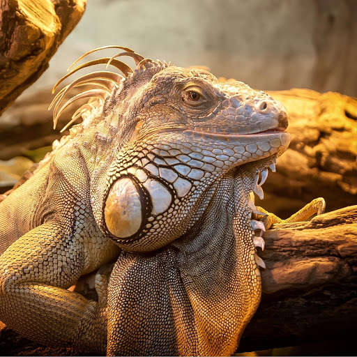 Hd-185826-ascw185826