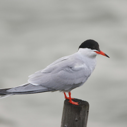 Hd-178318-ascw178318