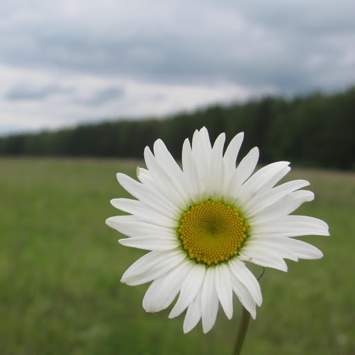 Hd-183350-ascw183350