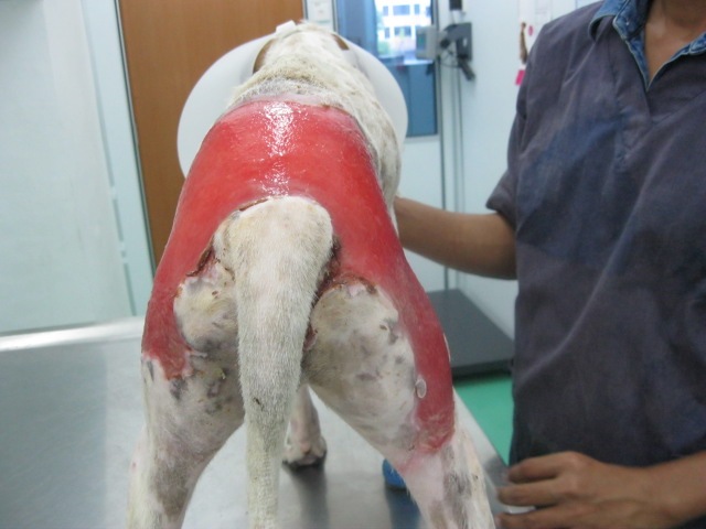 [IMG_1196%255B3%255D.jpg]