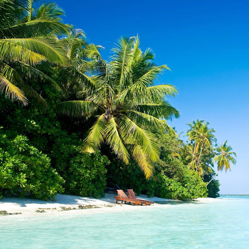 Hd-152017-ascw152017