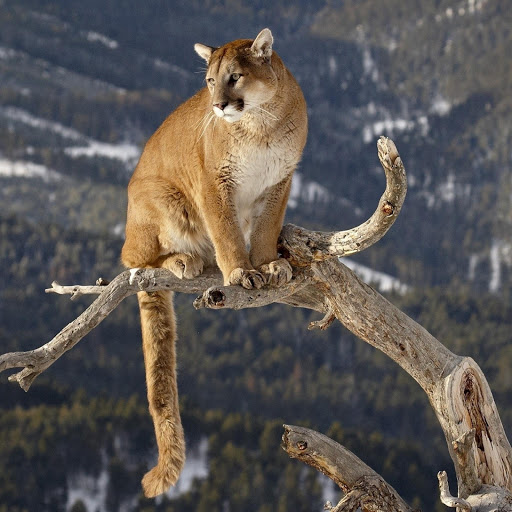 Hd-176486-ascw176486