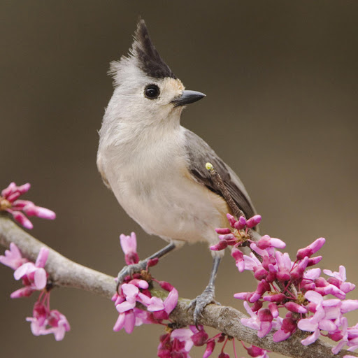 Hd-182610-ascw182610