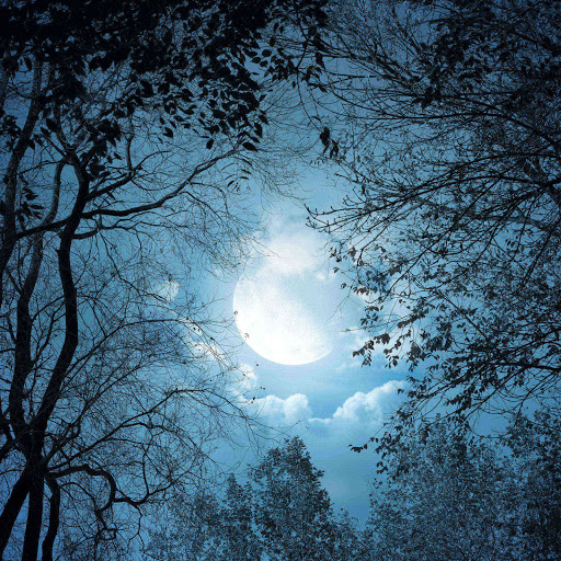 Hd-179720-ascw179720