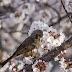 DA 55-300mm F4-5.8ED