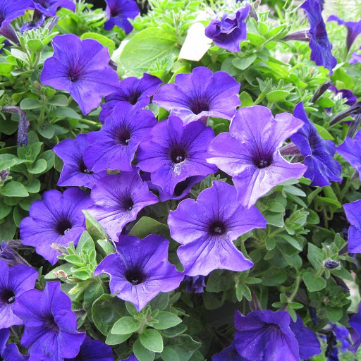 Hd-166790-ascw166790