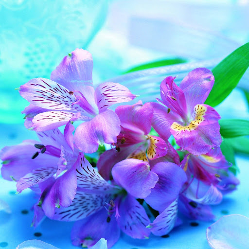 Hd-145943-ascw145943