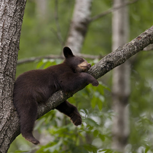 Hd-157429-ascw157429