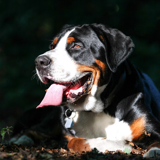 Hd-156964-ascw156964