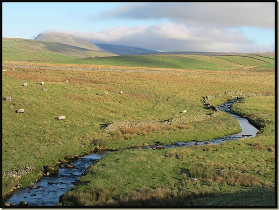 Catrigg Beck and Pen-y-ghent
