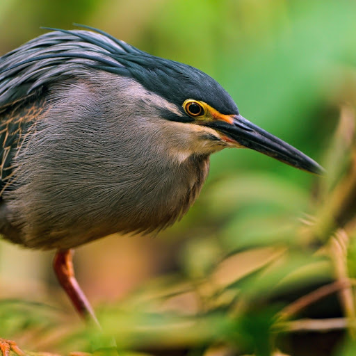 Hd-174430-ascw174430