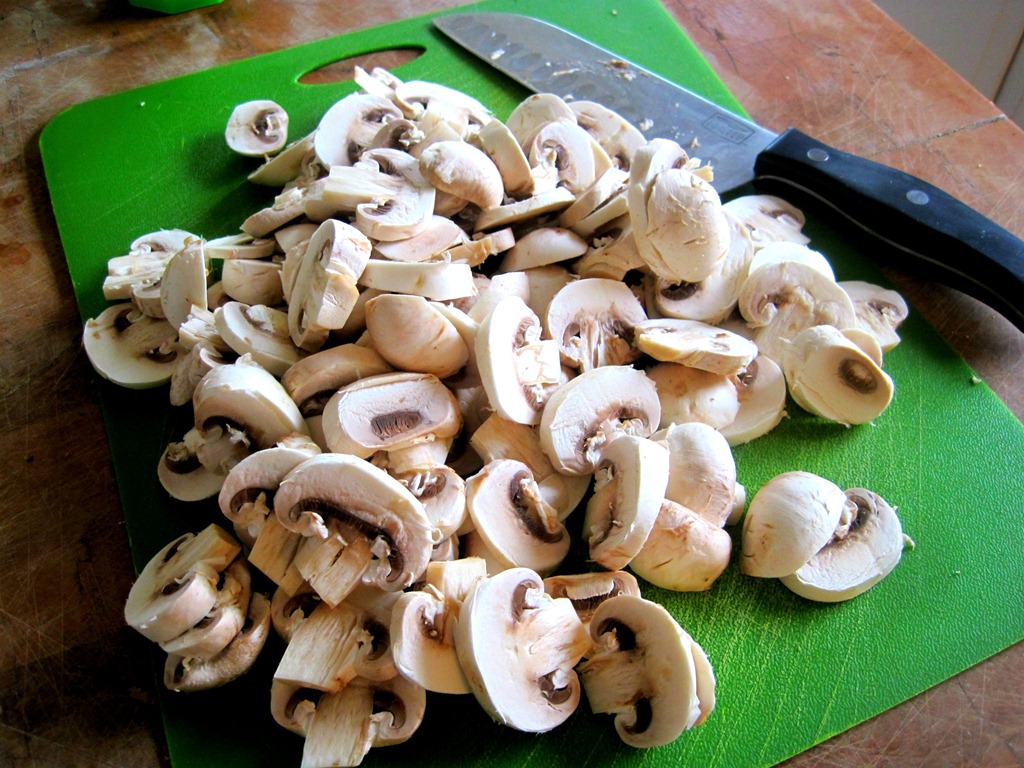 [mushrooms4.jpg]