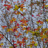 mobile01-42fd2d4c78f3a09d5ff9a08cc51ab18e.jpg