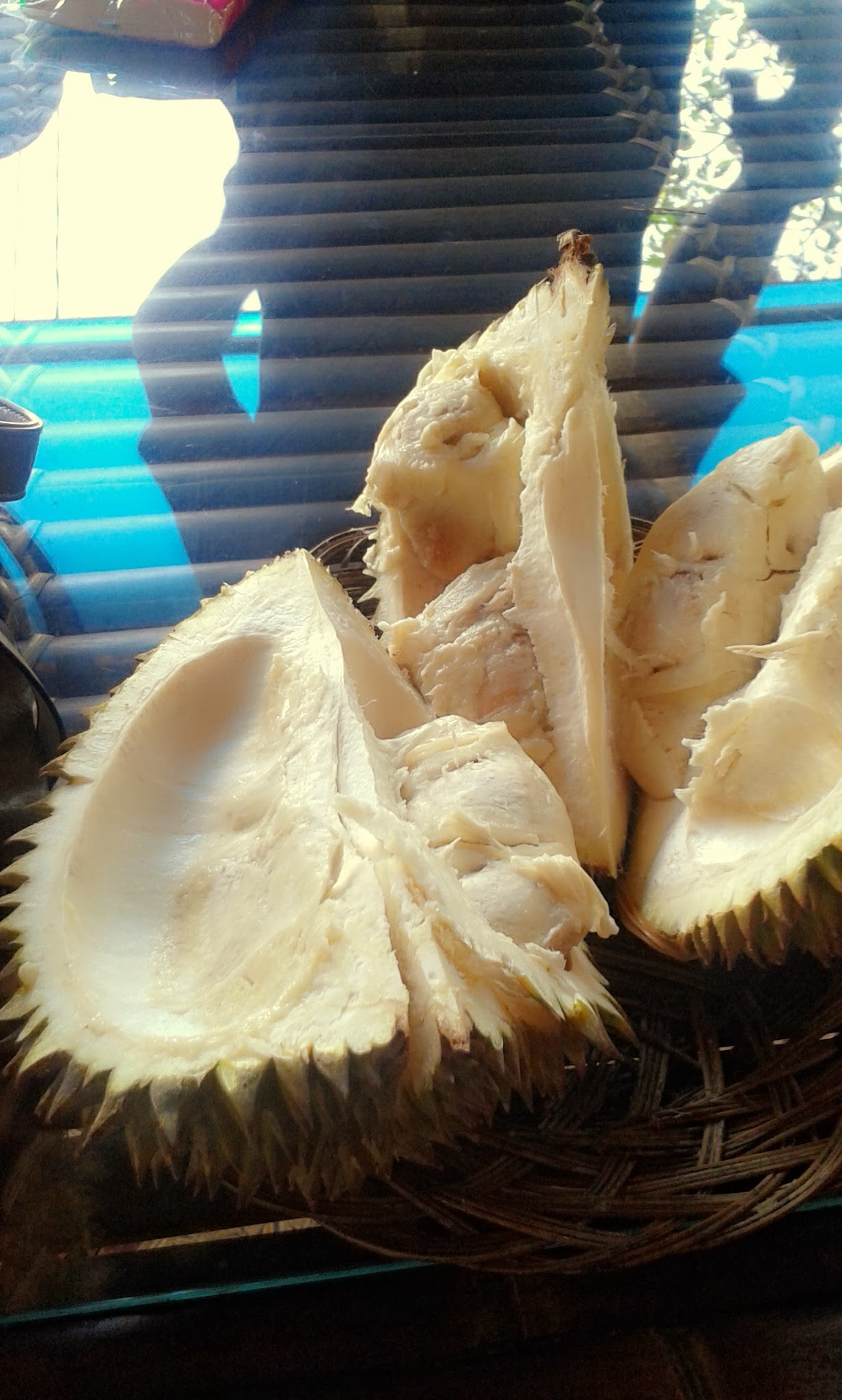 kebun durian warso bogor