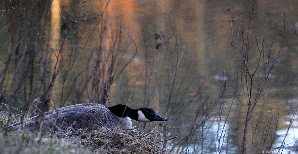 [DSC_9119%255B4%255D.jpg]