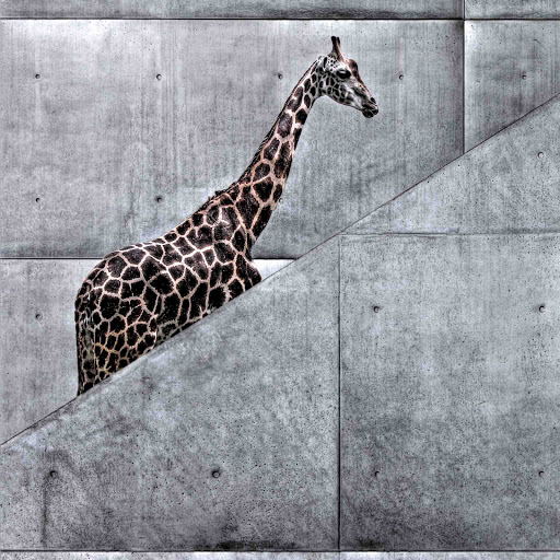 Hd-131745-ascw131745