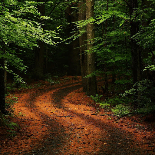 Hd-163167-ascw163167