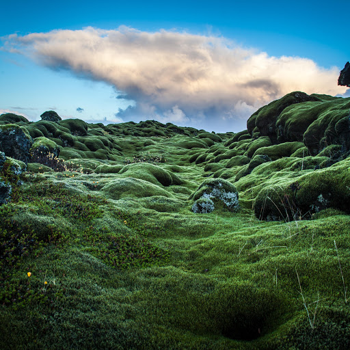 Hd-183916-ascw183916