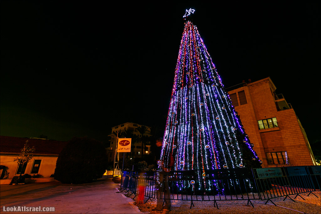 Рождество в Яффо. Праздничная елка и украшения. LookAtIsrael.com - Фото путешествия по Израилю