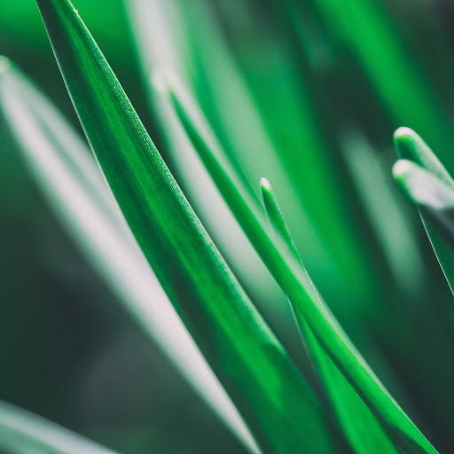 Hd-173258-ascw173258