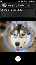 Identify Dog Breeds Pro 3