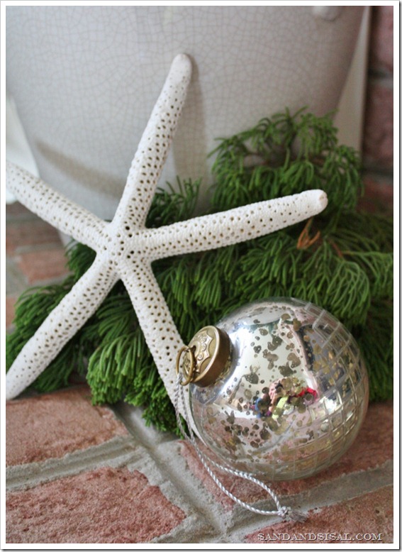 Starfish & ornament 
