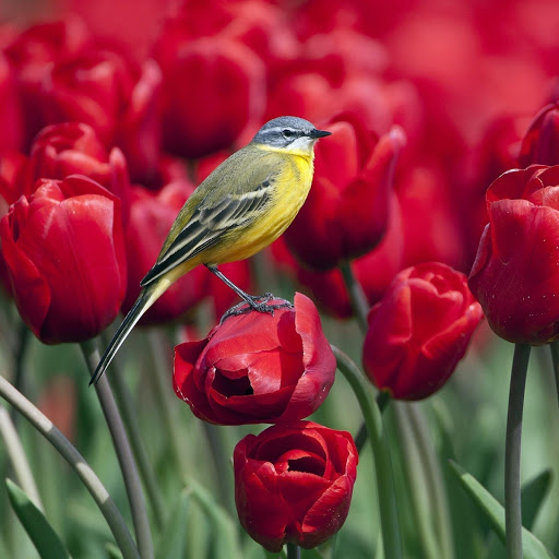 Hd-178659-ascw178659