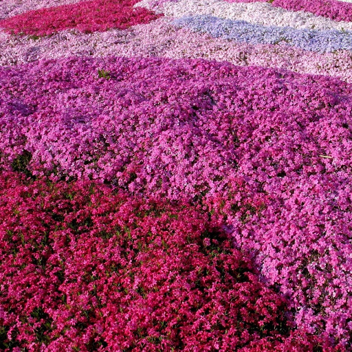 Hd-148292-ascw148292