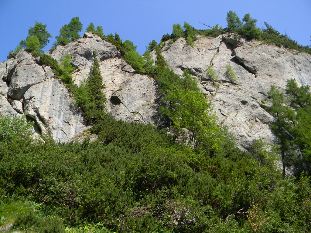 [DSCN31943.jpg]