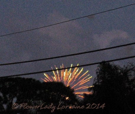 [04-12-fireworks%255B4%255D.jpg]