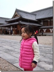 DSCF2249 DSCF2249