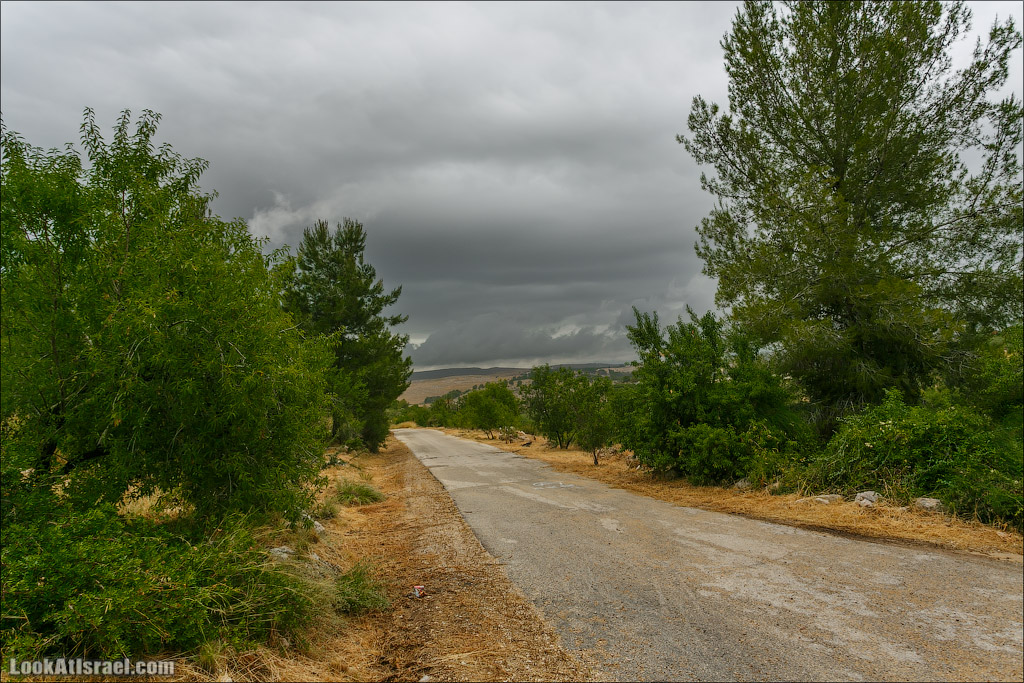Неот Кдумим - Заповедник библейской природы | נאות קדומים