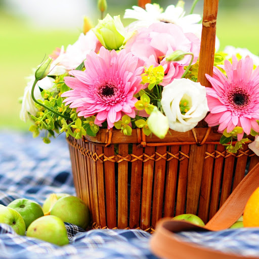 Hd-184180-ascw184180