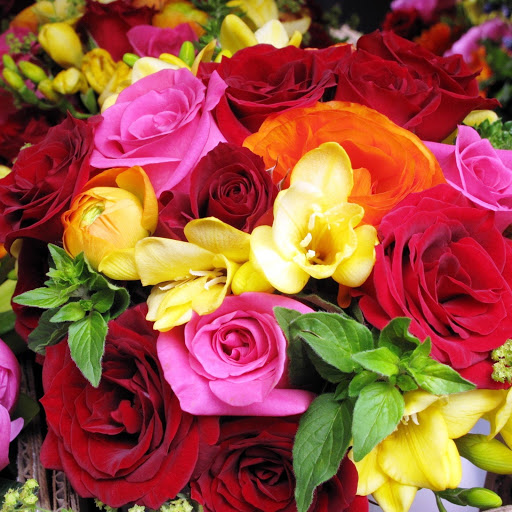 Hd-141783-ascw141783