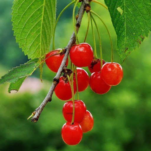 Hd-179890-ascw179890