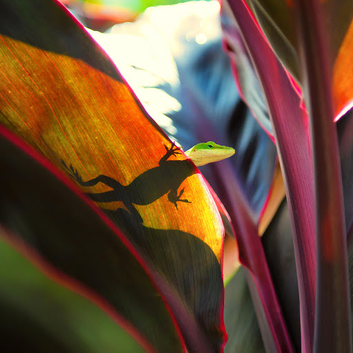 Hd-143307-ascw143307