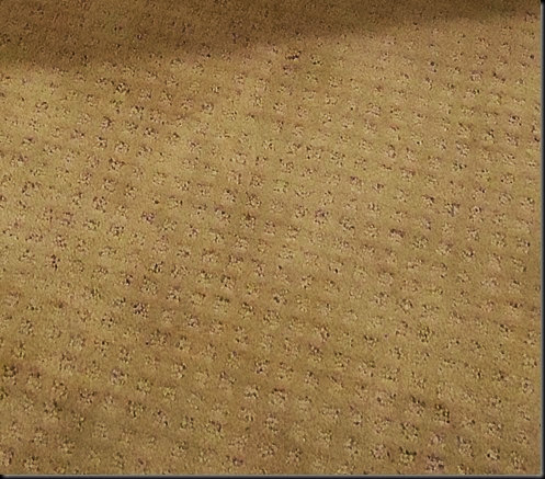 New carpet closeup