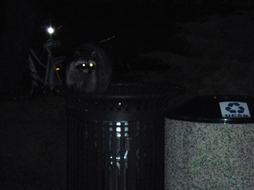 [DSCN3702%2520-%2520Kopie%255B4%255D.jpg]