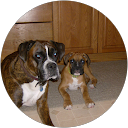 Linda Ann Hines profile picture