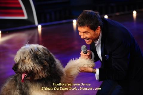 Tinelli y el perro de Denise.JPG
