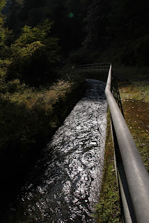 Mirando río abajo