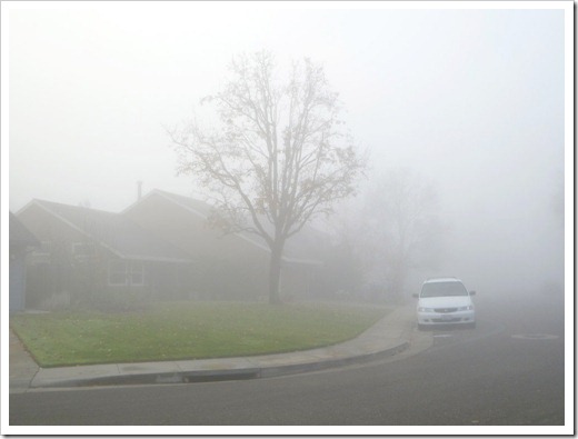 121211_fog_34