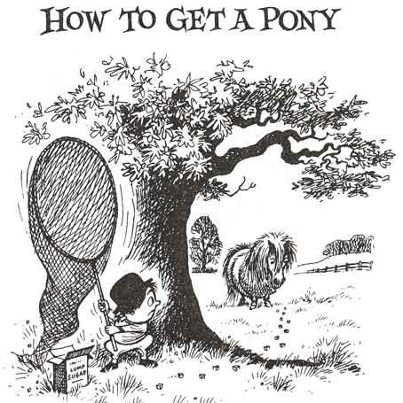 how-to-pony